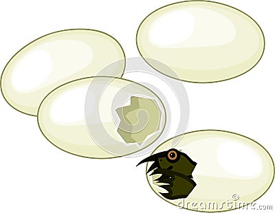 Cute cartoon European pond turtle hatching out of egg Vector Illustration